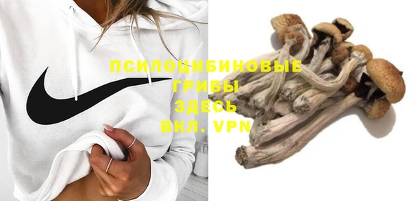 крисы Абдулино