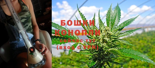 крисы Абдулино