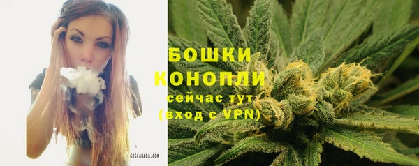 крисы Абдулино