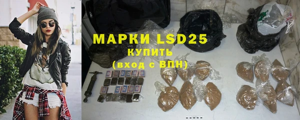 PSILOCYBIN Абаза