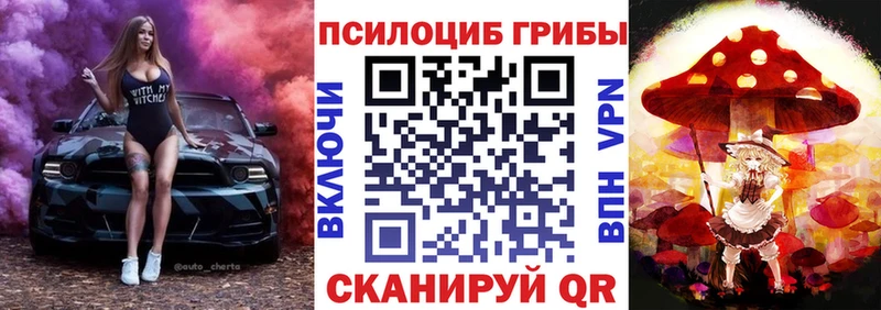 дарк нет наркотические препараты  Холмск  Псилоцибиновые грибы Psilocybine cubensis 